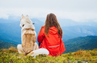Viajes para solteros con mascotas