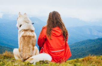 Viajes para solteros con mascotas