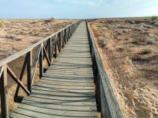 pasarela de madera por las dunas