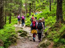 Grupo de gente por un sendero de montaña