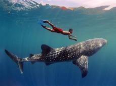 Mujer sentada en una hamaca entre dos palmeras en una playa de arena blanca y mar de color turquesa