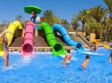 Avistamiento de Delfines