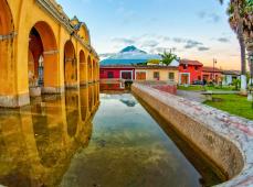Aguas cristalinas con plantas verdes en el agua