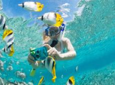 Persona en el mar con gafas y tubo de snorkel haciendo fotos a los peces de colores
