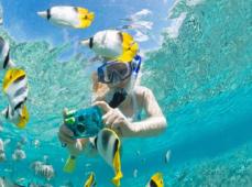 Persona en el agua con gafas de buceo haciendo fotos a los peces de colores