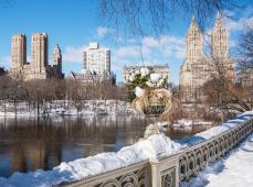 de Shopping por Nueva York