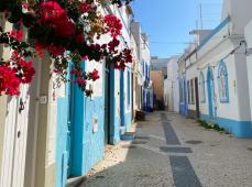 calle con casas típicas en blanco y azul, en una de ellas una buganvilla