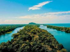 Tortuguero