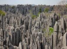 Tsingy
