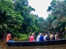 Tortuguero