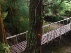 Camino de madera que cruza un rio de montaña