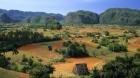 Viñales