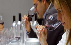 Cata vinos