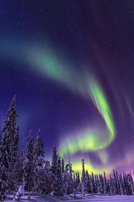 Aurora Boreal