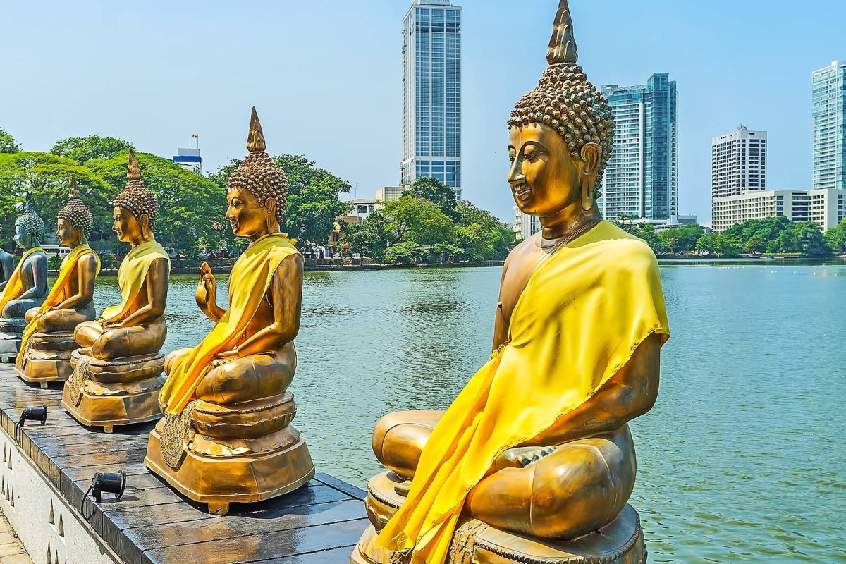 Estatuas de budas doradas en un lago, al fondo los rascacielos de la ciudad