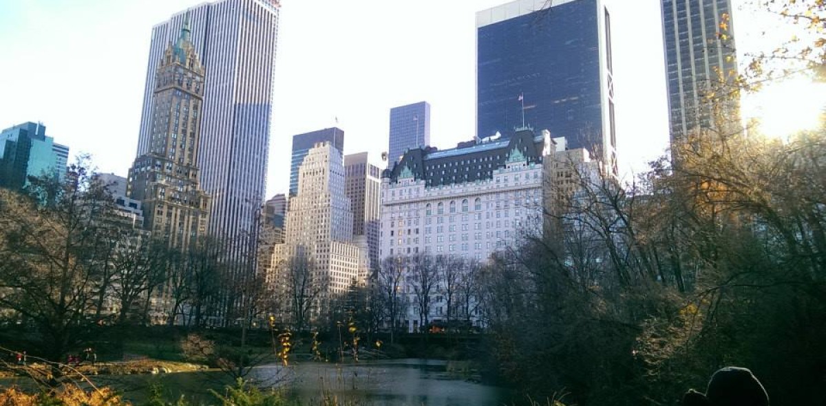 Central Park
