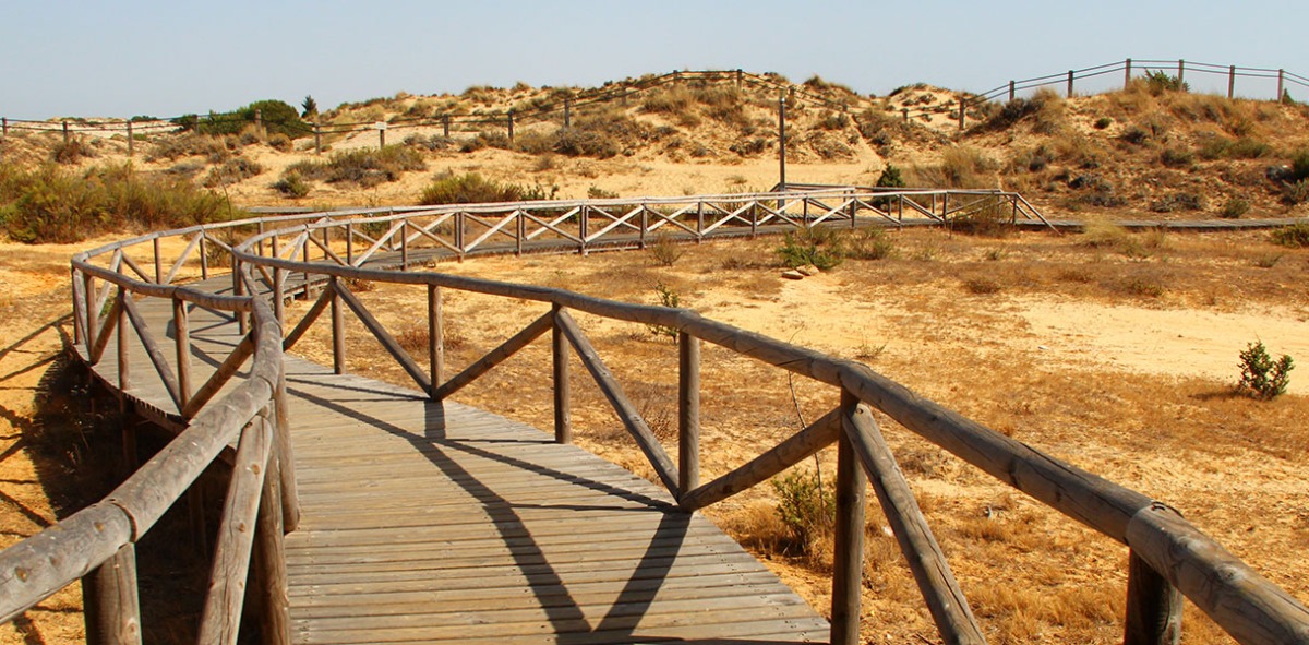 Playa de Huelva de dunas con camino de madera para no pisarlas
