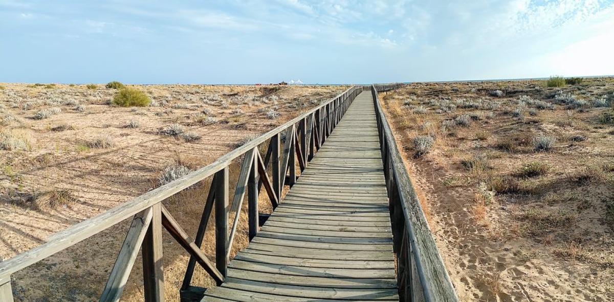 Rota