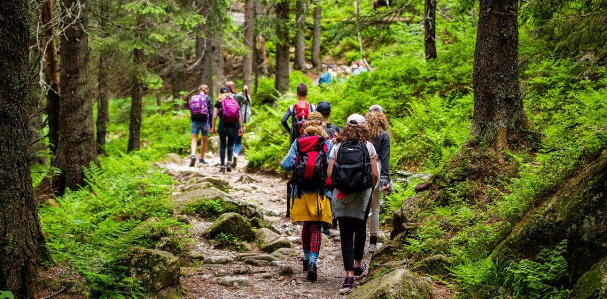 Grupo de senderistas de espaldas por un camino rodeado de árboles