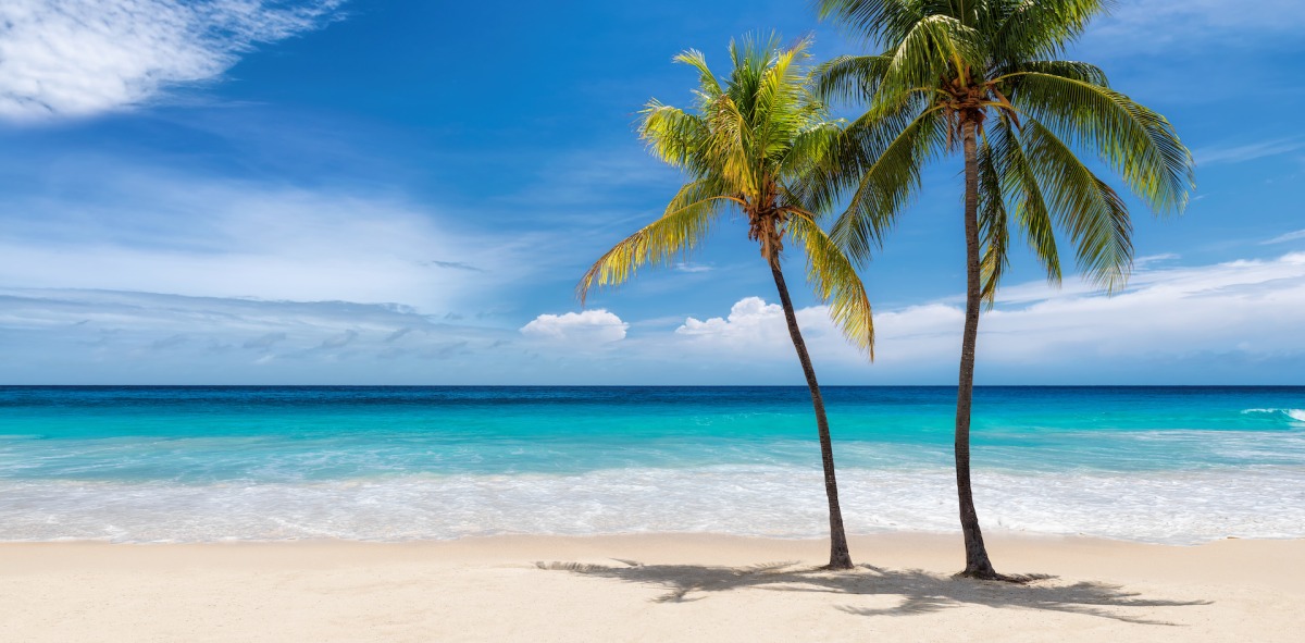 Caribe para singles