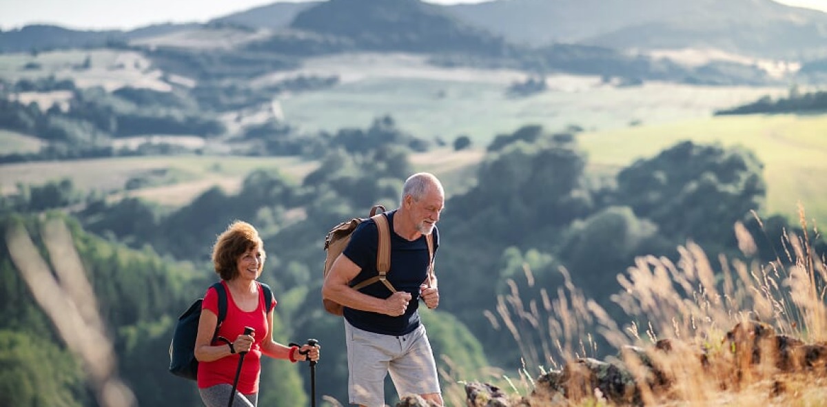 Camino de Santiago