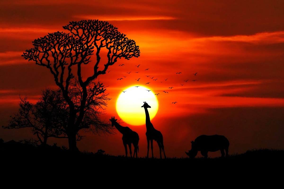 Kenia, el sueño de África para singles