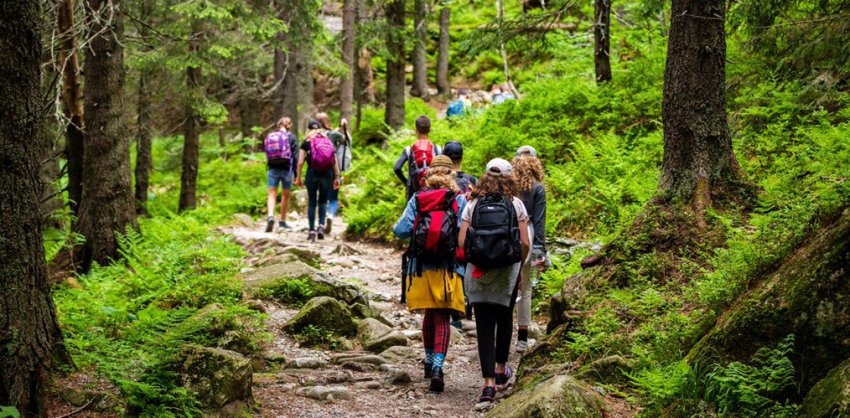 Bosque con un camino por donde va un grupo de senderistas