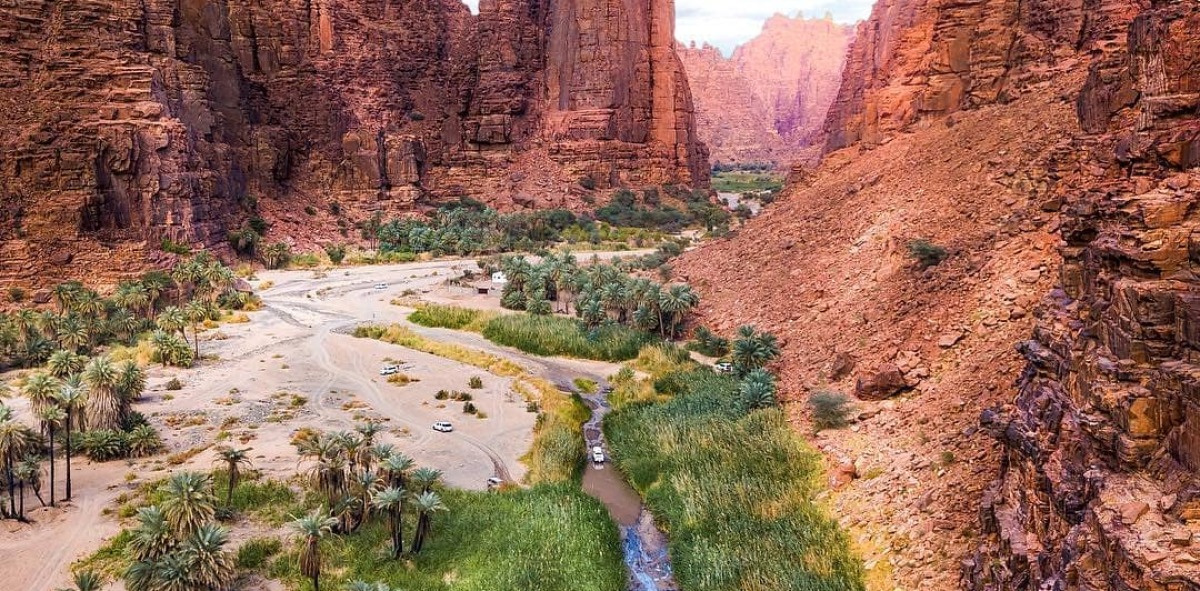 Cañón rocoso por donde pasa un rio y a los lados palmeras y vegetación