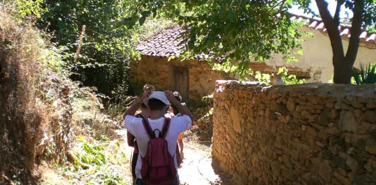 bajando por un camino gente en fila india de espaldas por un camino y a los lados muros de piedra