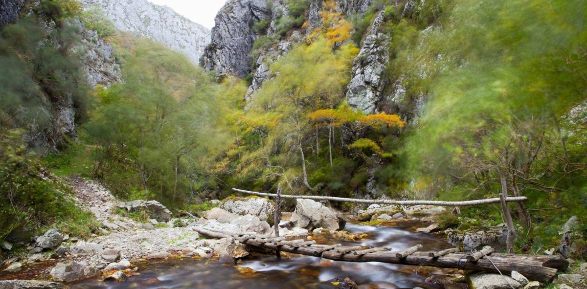 Zona de paso en ruta por el parque natural de Redes