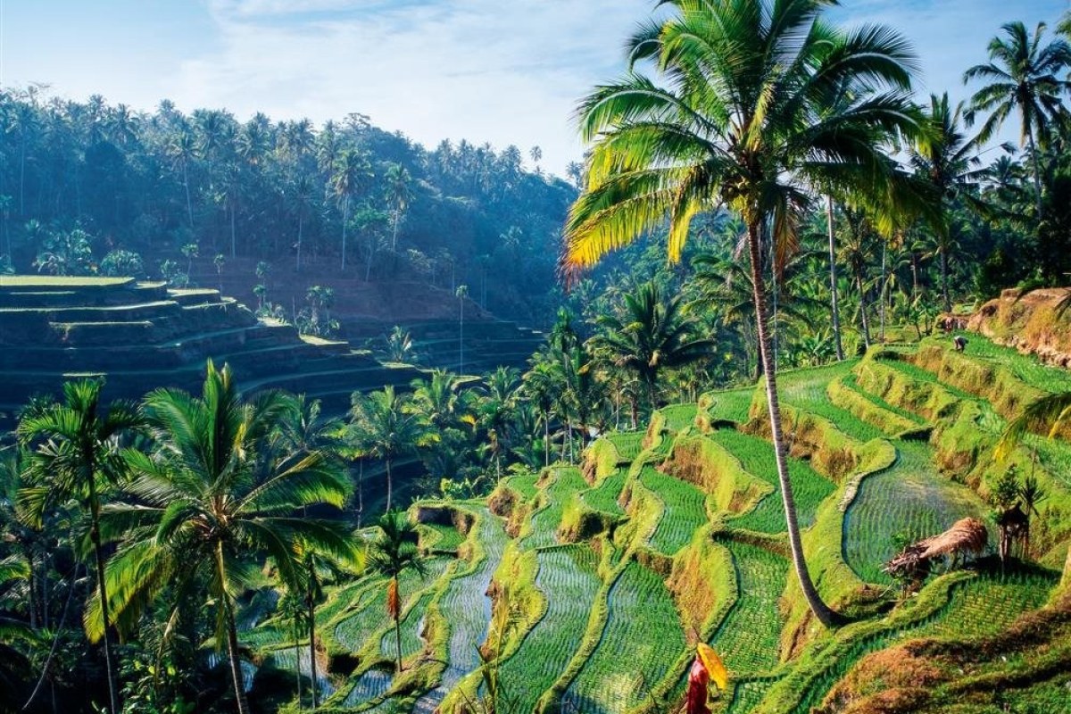 Bali
