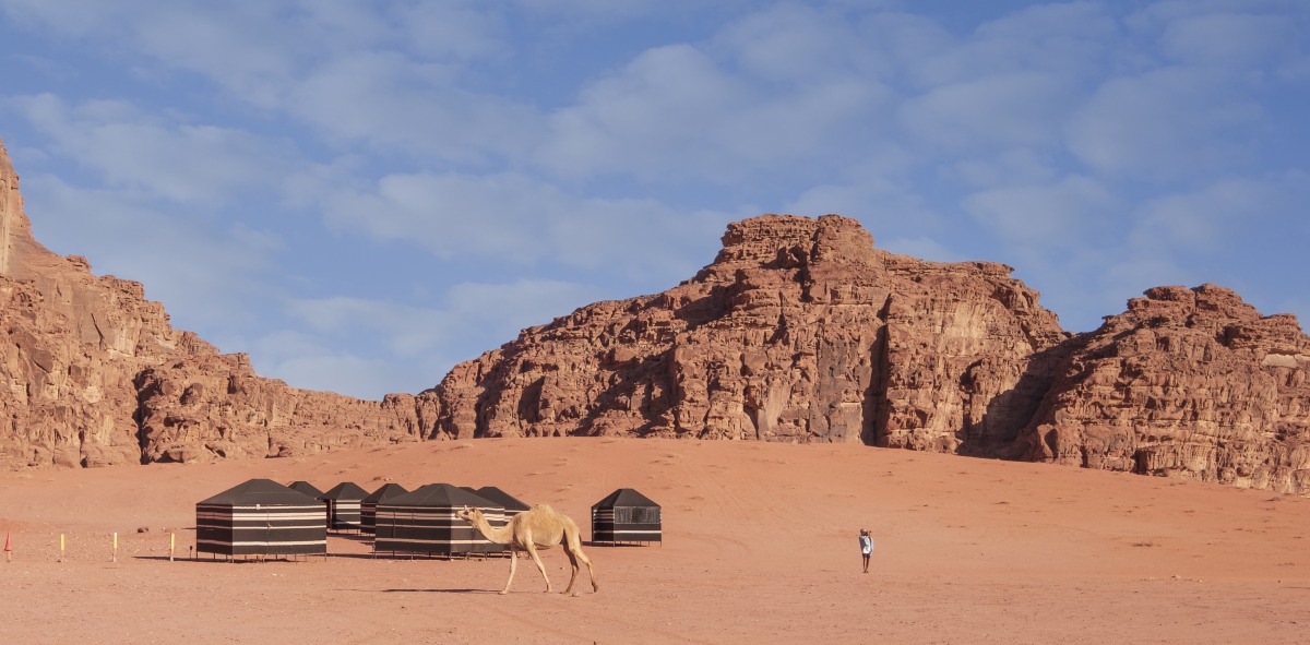Camello y turista en un campamento de Wadi Rum