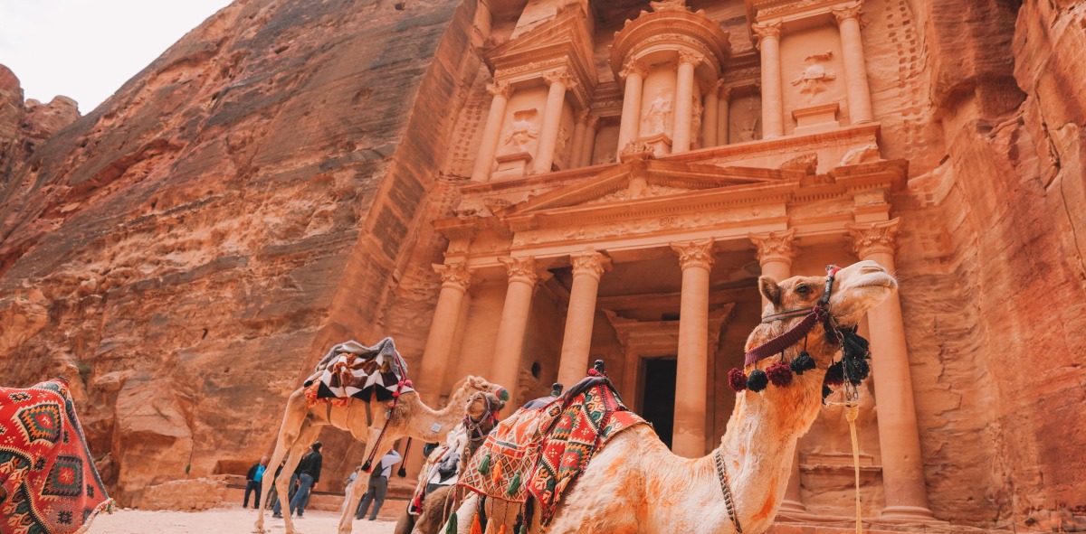 camellos frente al edificio de Petra