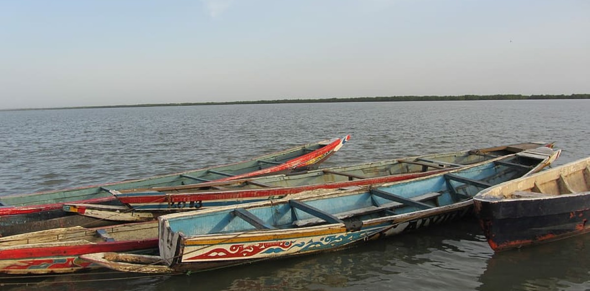 canoa