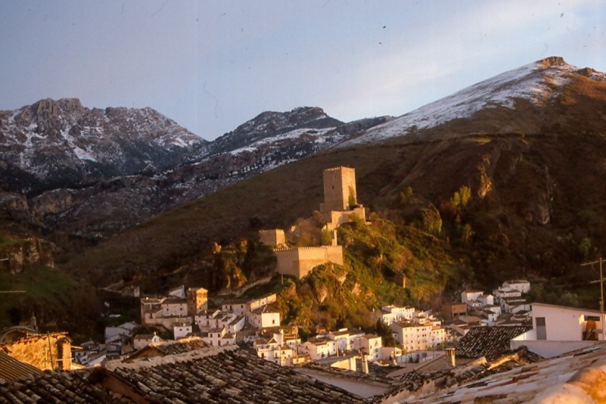 Cazorla