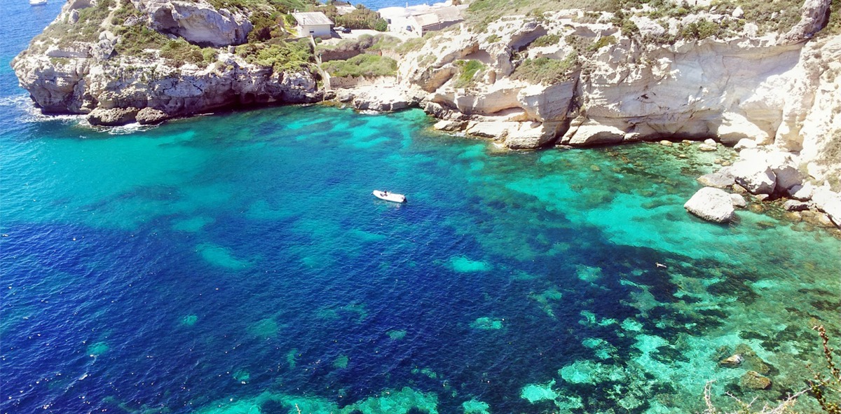 Barco