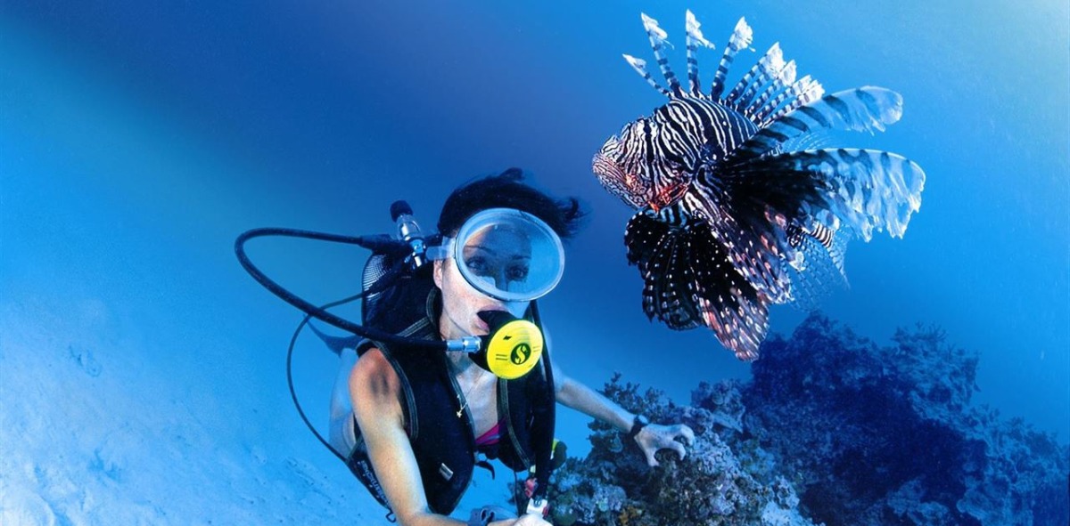Buceo