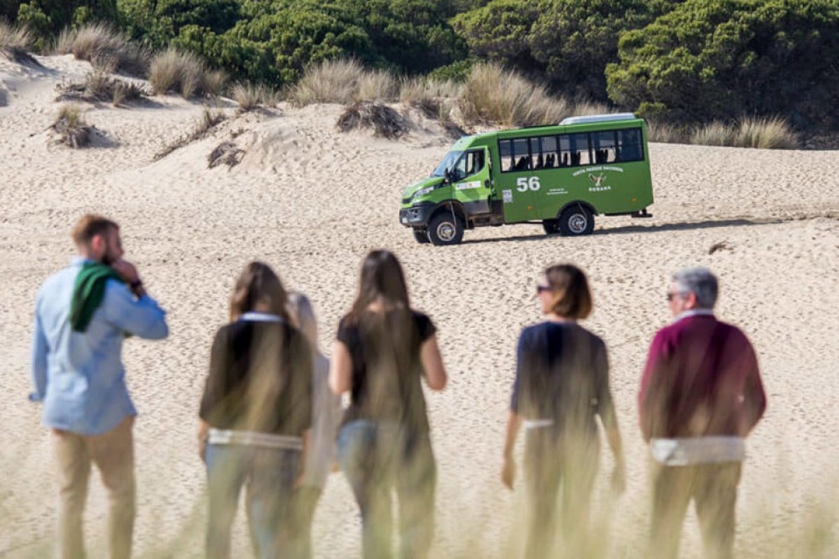 Grupo de personas de espaldas en una duna, al fondo un todo terreno esperando