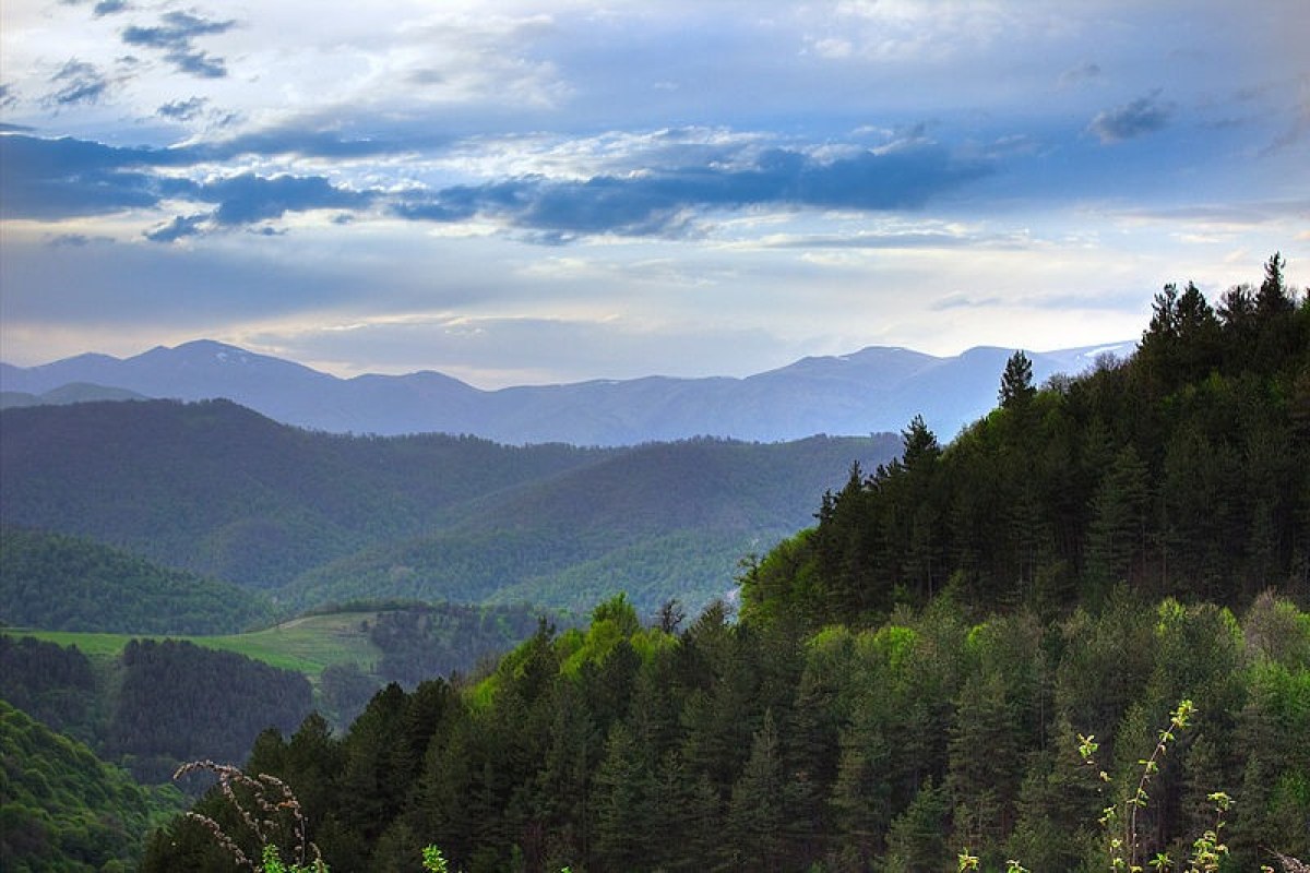 Dilijan
