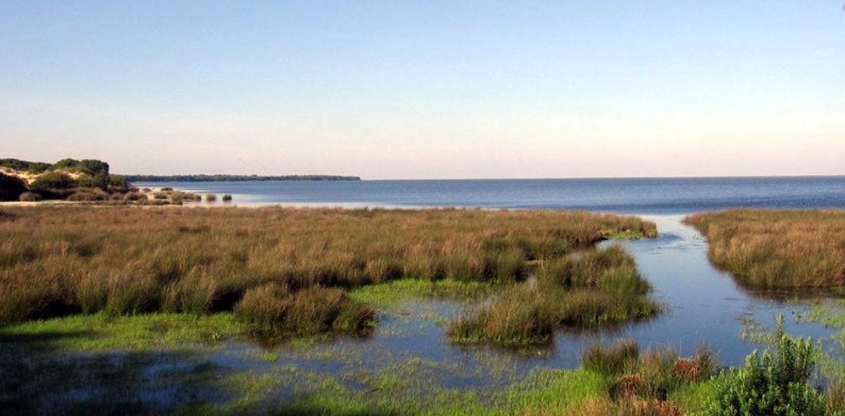 Marismas de Isla Cristina, al fondo el mar