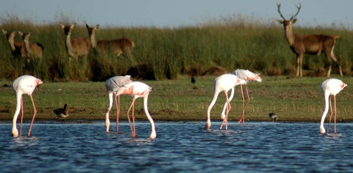 Sanlucar de Barrameda