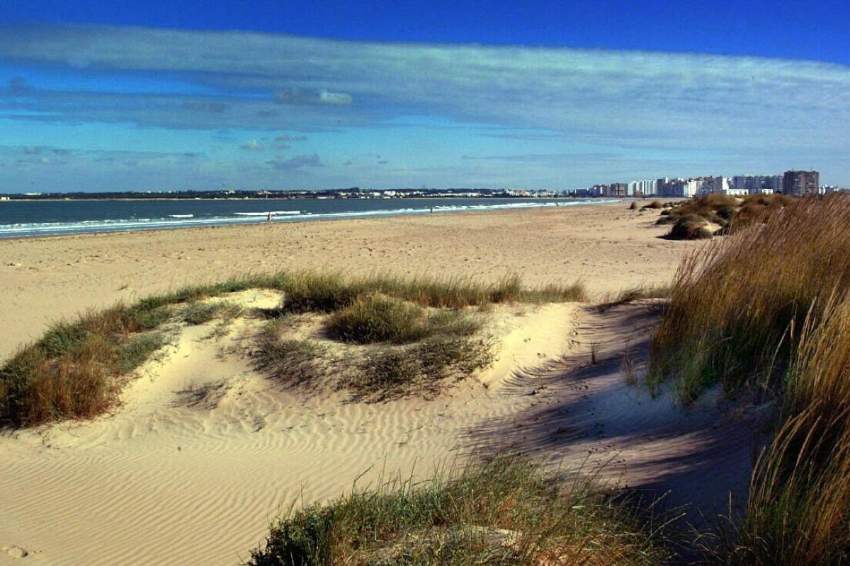 Larga playa con sus dunas protegidas, al fondo Santa Maria