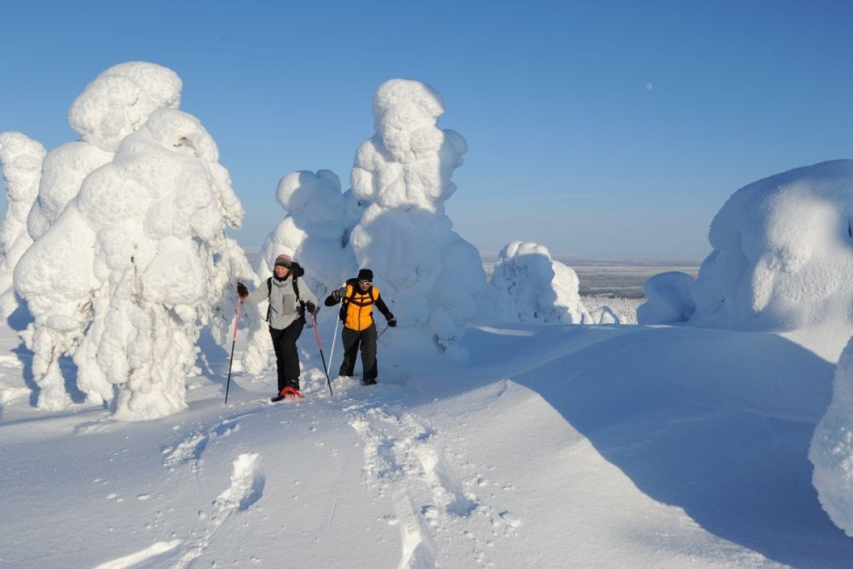 Trineo de perros en Abisko para Singles