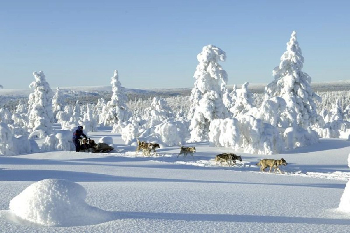 Finlandia