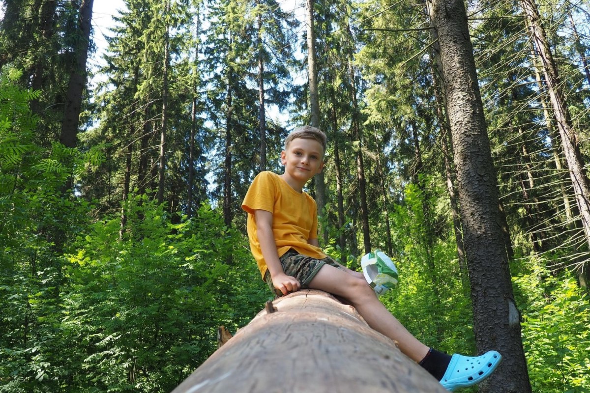 Niño posando encima de un tronco en el bosque gallego