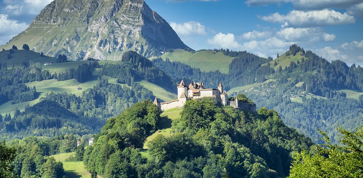 Suiza,Selva Negra y Chamonix con Singles