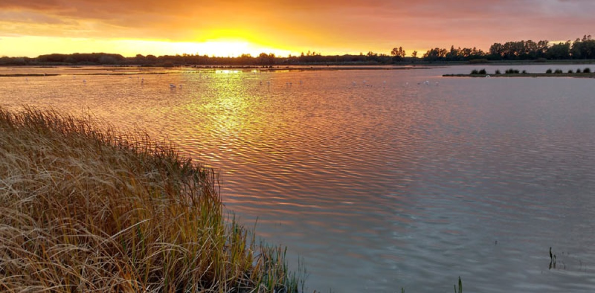 Atardecer en Doñana
