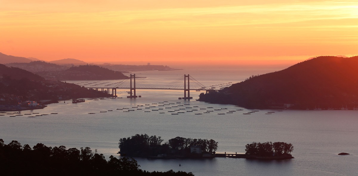 Rías Baixas para Singles