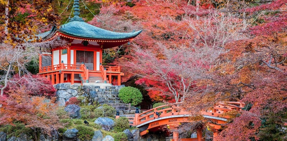 Japon