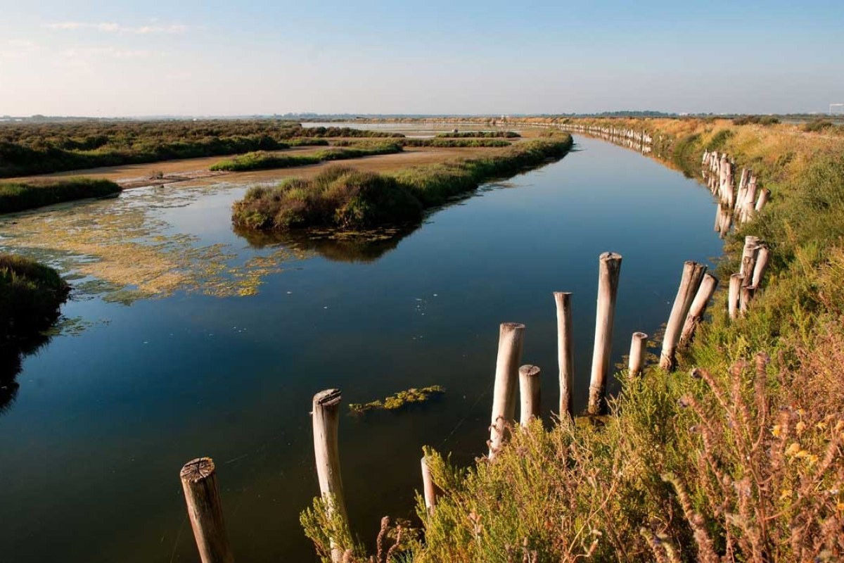 Paisaje del Río Guadiana a su paso por El Puerto